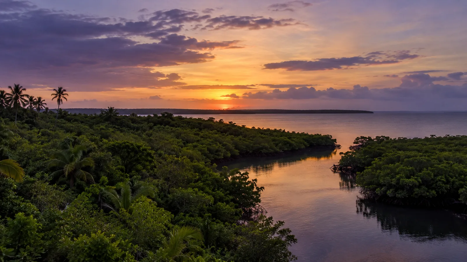 Jozani-Chwaka-Bay-Nationalpark