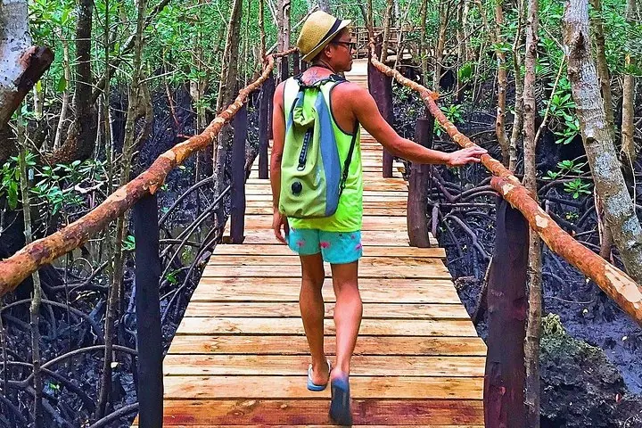 Tourist mit Hut und Rucksack auf einem hölzernen Waldweg